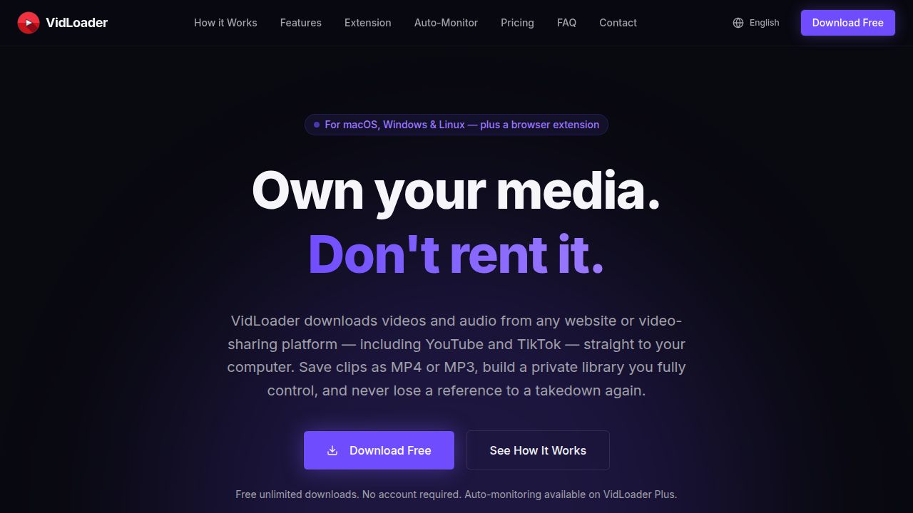 VidLoader - Product Image