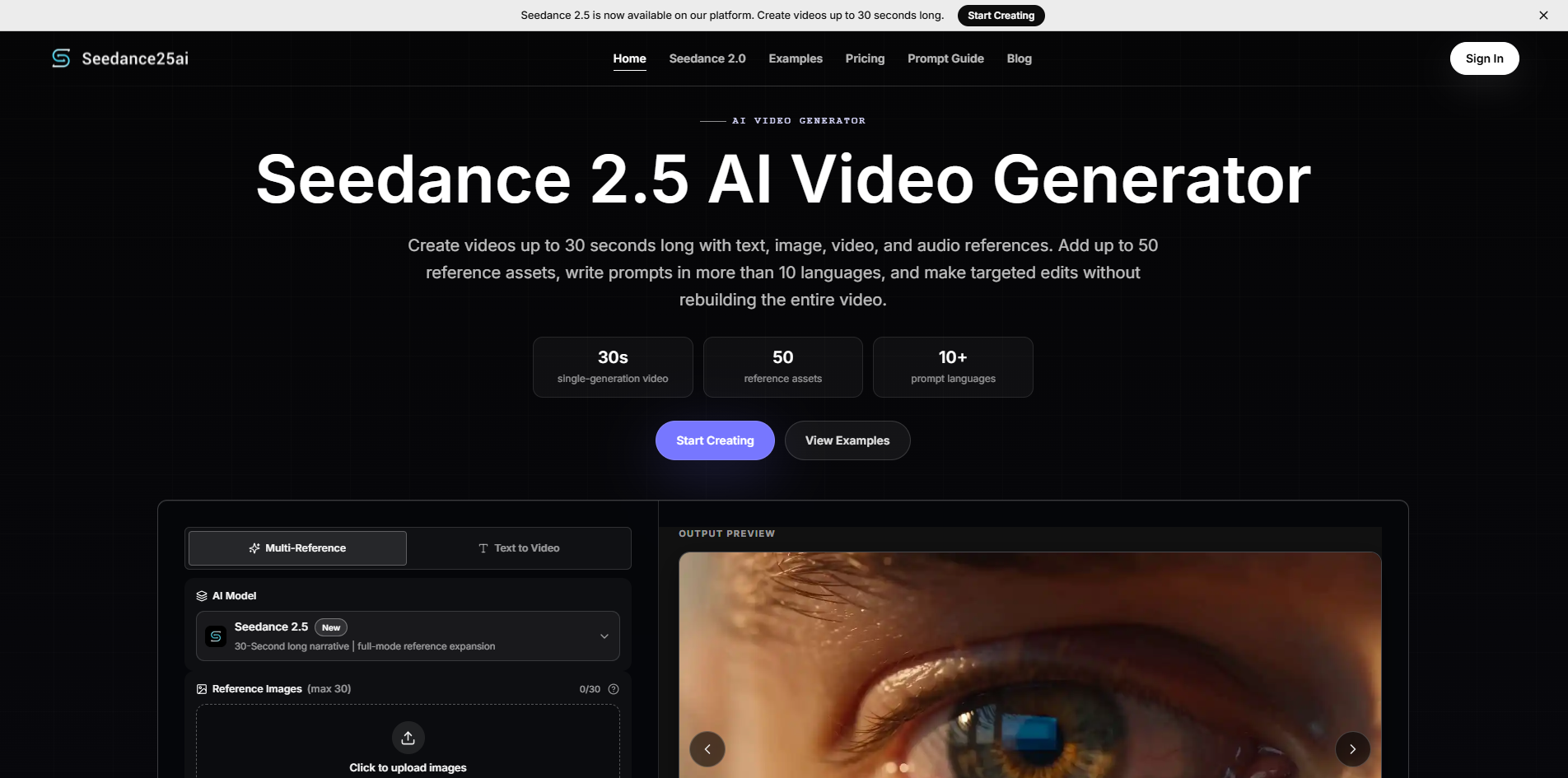 Seedance 2.5 - Product Image