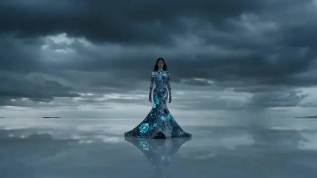 Lib Video - Product Image