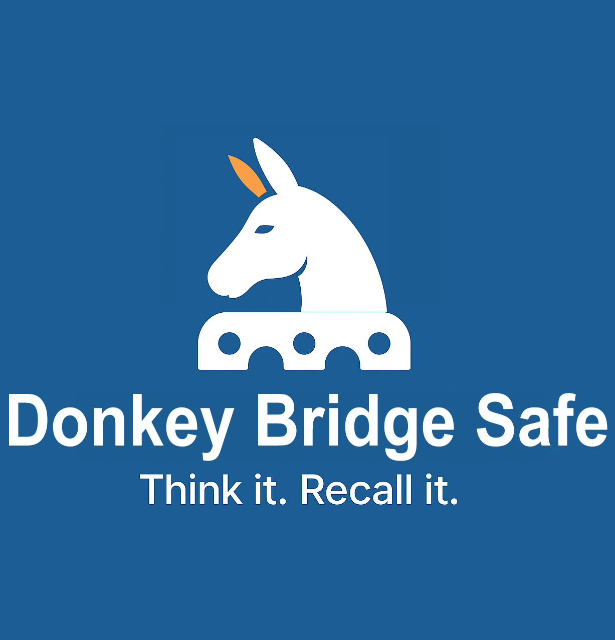 Donkey Bridge Safe - Product Image