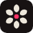 Molyin logo
